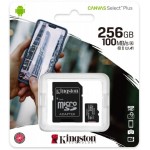 Флеш карта microSDXC Kingston 256GB SDCS2/256GB Canvas Select Plus + adapter